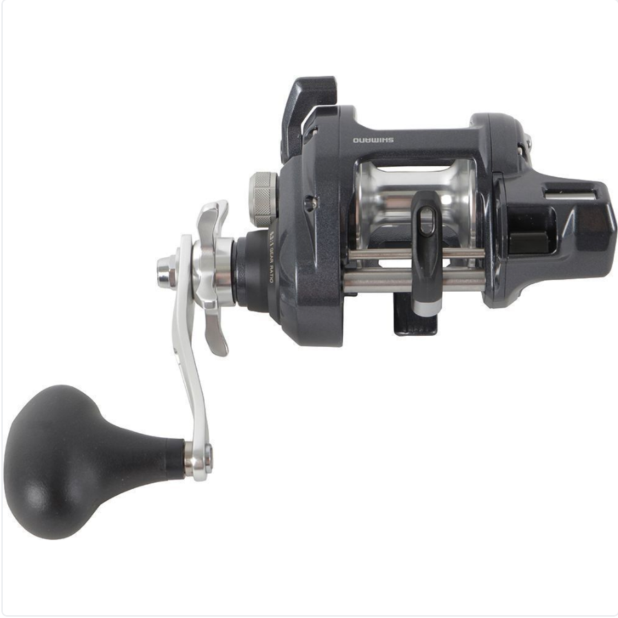 SHIMANO TEKOTA 501HGLCA 6.3 4BB SALTWATER L CENTER LH