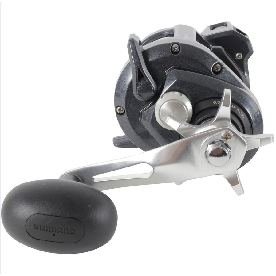 SHIMANO TEKOTA 501HGLCA 6.3 4BB SALTWATER L CENTER LH