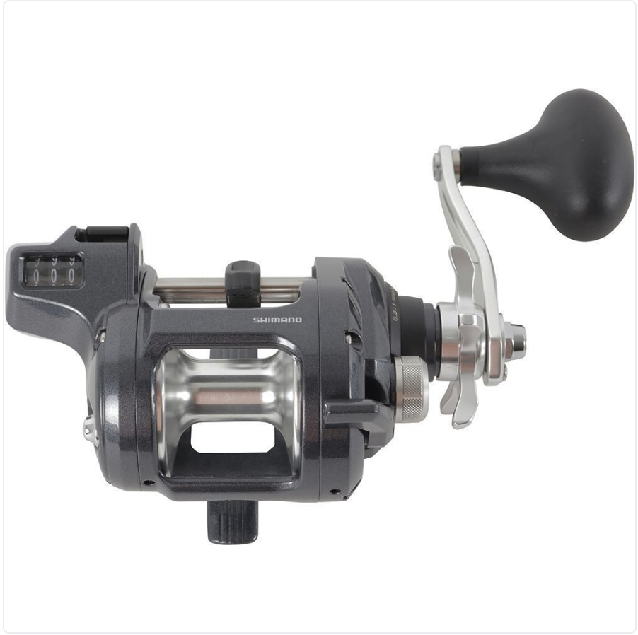 SHIMANO TEKOTA 501HGLCA 6.3 4BB SALTWATER L CENTER LH