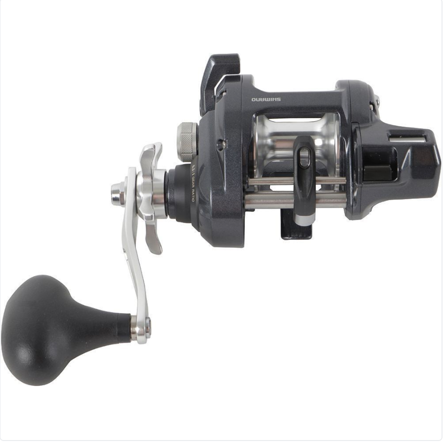 SHIMANO TEKOTA TEK500HGA SALTWATER CASTING REEL 6.3 4BB