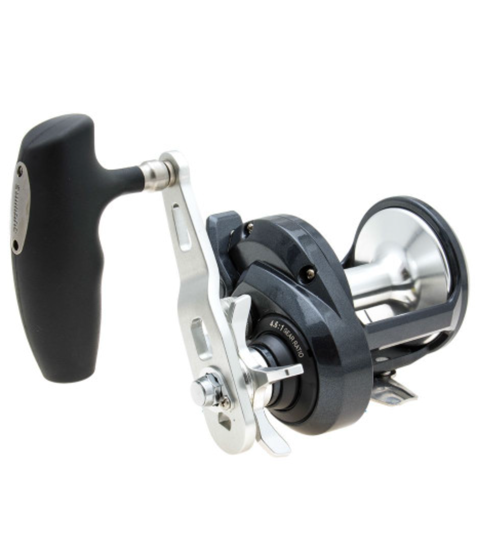 Fishing reel with 'TORIUM 20HG' branding on a white background