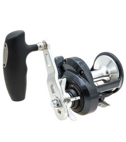Fishing reel with 'TORIUM 20HG' branding on a white background