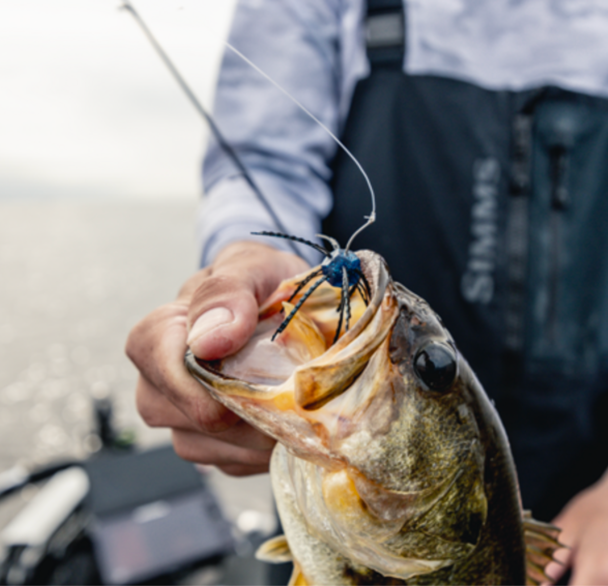 Person holding a fish caught on a lure with a blurred background
