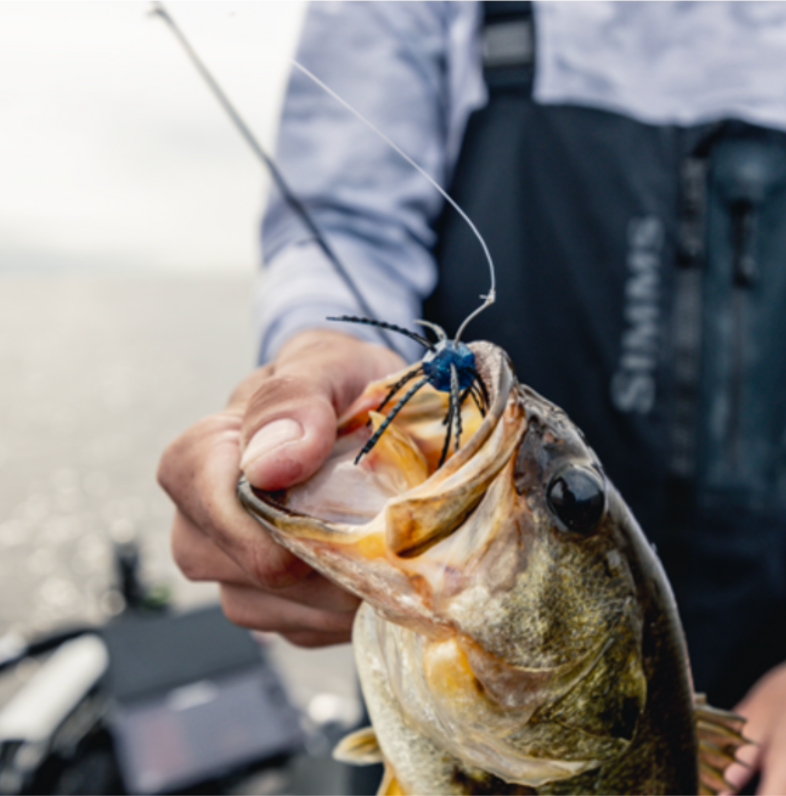 Person holding a fish with a lure in its mouth on a blurred background