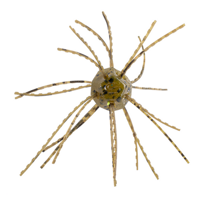 Mold spore on a white background