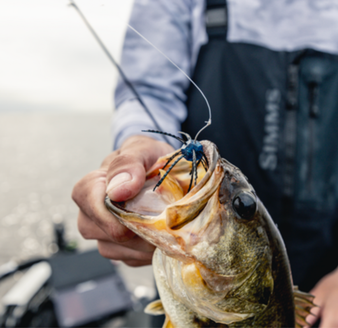 Person holding a fish with a lure in its mouth, blurred background