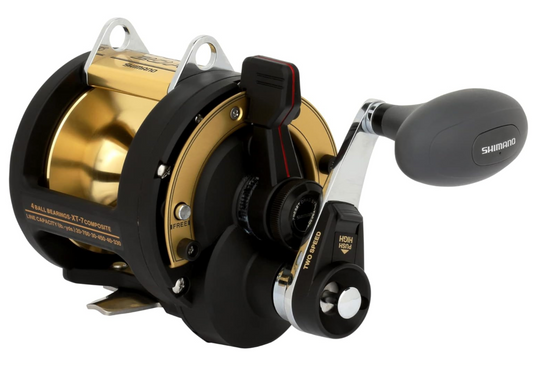SHIMANO TLD202A 2SPD SALTWATER LEVER DRAG 4BB 4.0