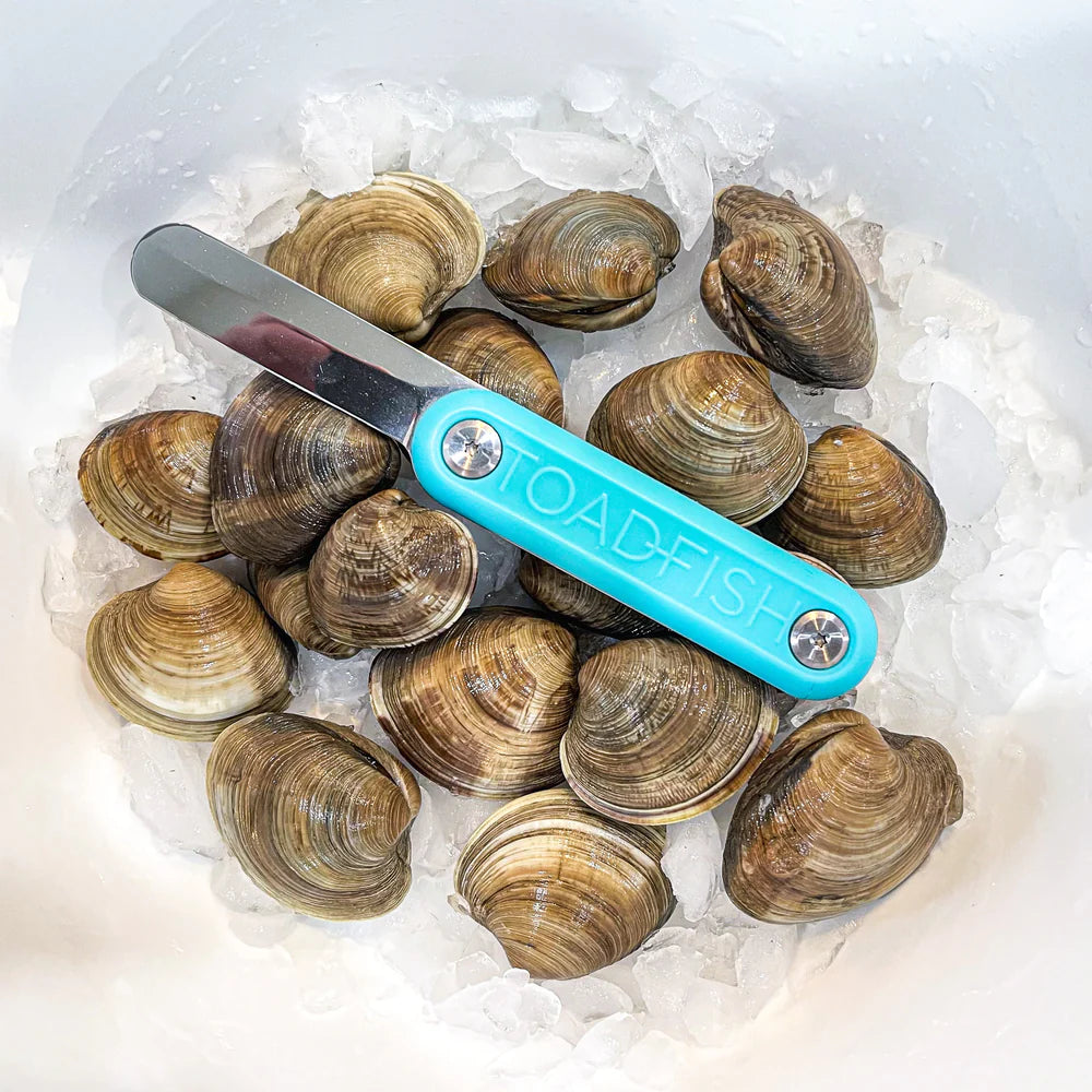 Clams on ice with a blue-handled knife labeled 'TOADFISH' in the foreground.