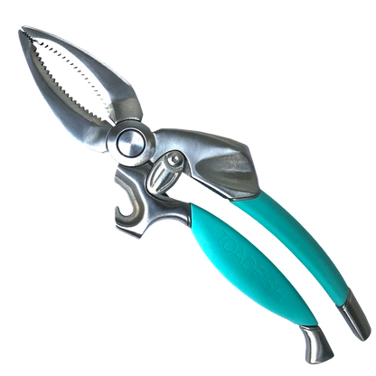 Pruning shears with turquoise handles on a white background