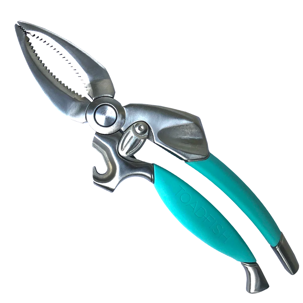 Pruning shears with turquoise handles on a white background