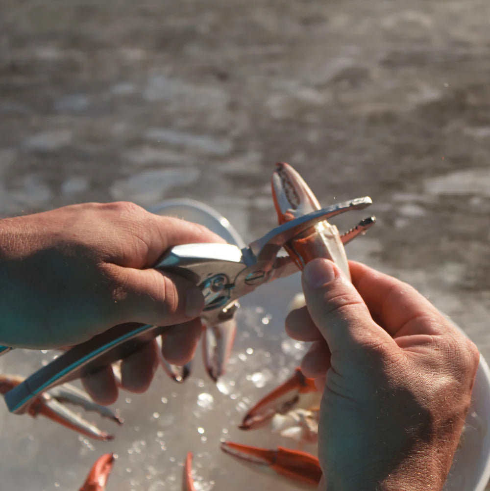 Person using pliers to handle a crab with water in the background