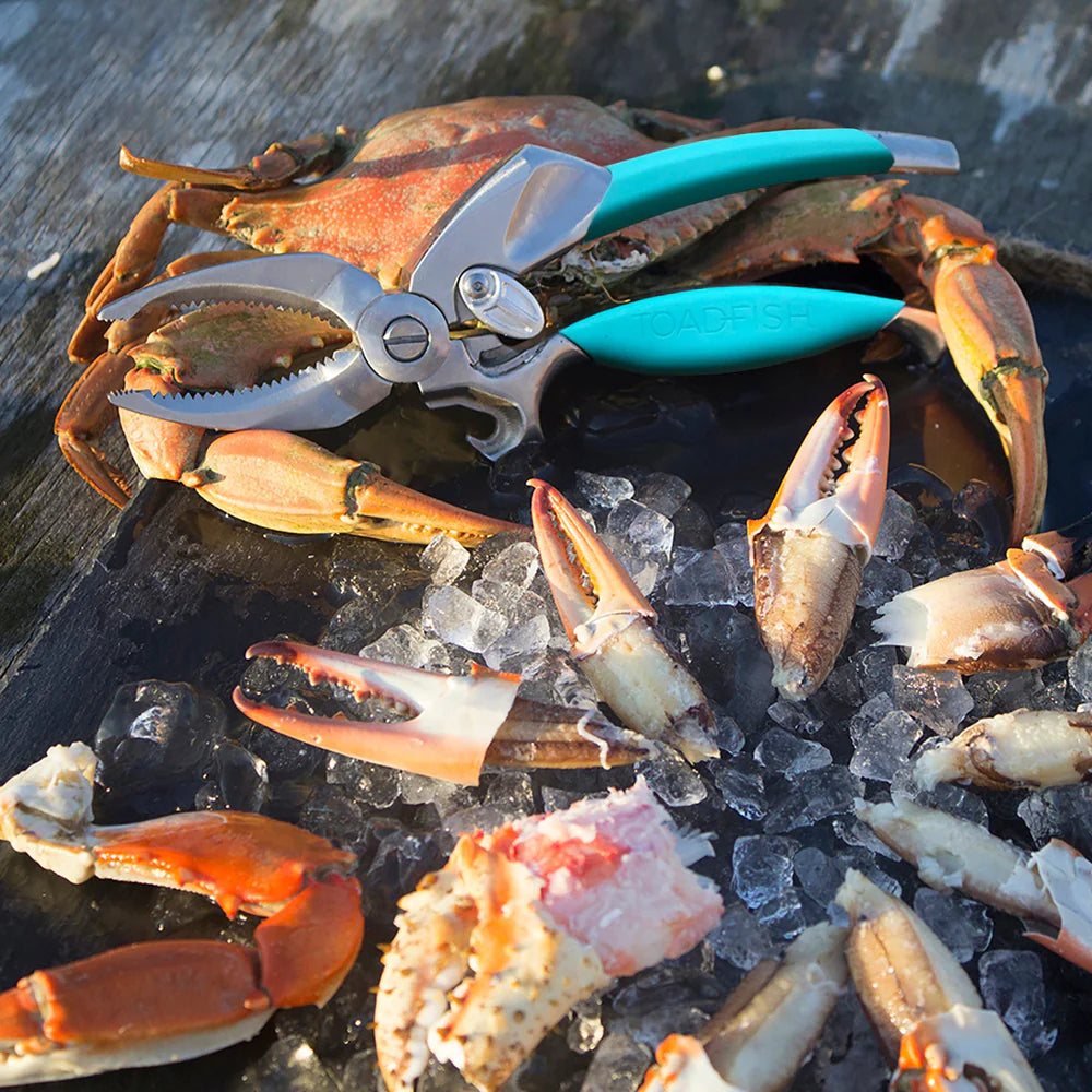 Crabs on ice with a pair of pliers featuring turquoise handles.