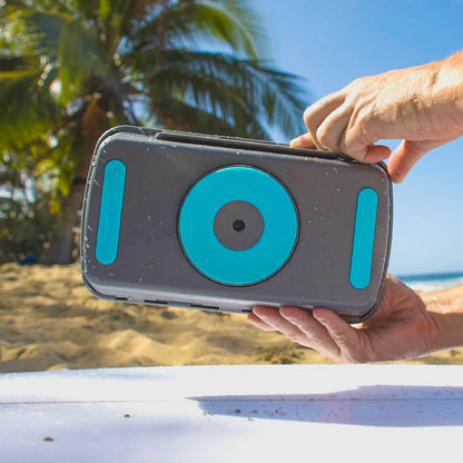 Person holding a gray and blue portable speaker on a beach with palm trees in the background