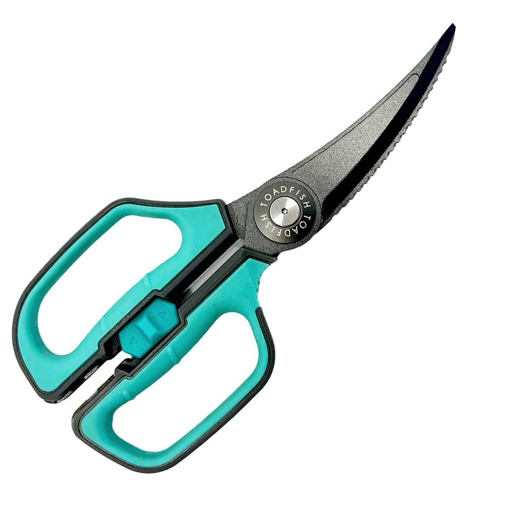 Teal-handled scissors with a black blade on a white background