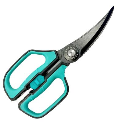 Teal-handled scissors with a black blade on a white background