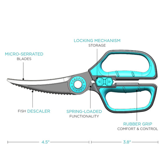 Diagram of a fish scaler with labeled parts on a white background