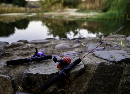 Fishing rod and reel set with purple accents on a white background
