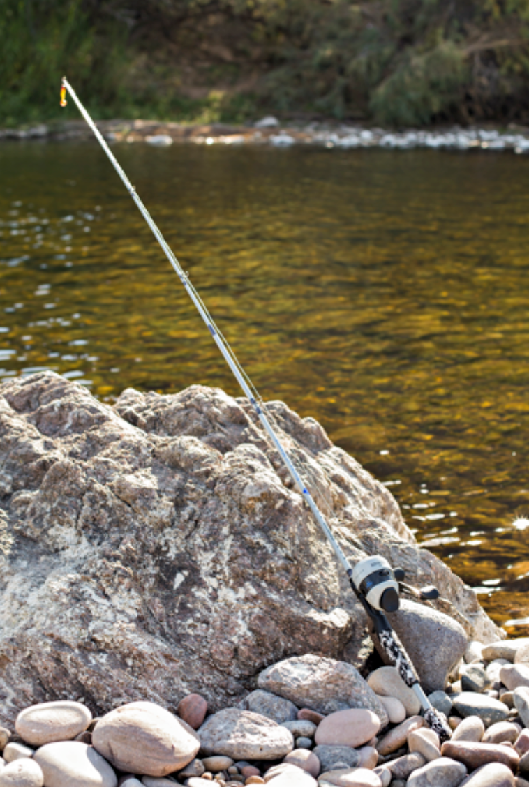 Fishing rod and reel set on a white background