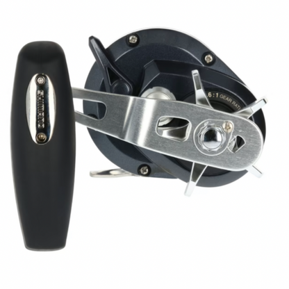 SHIMANO TORIUM 20PGA SALTWATER CASTING REEL 4.6 4BB