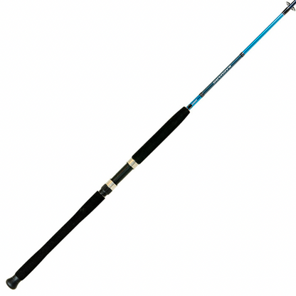 SHIMANO SAGUARO SALTWATER SPINNING ROD 2PC MH 9'