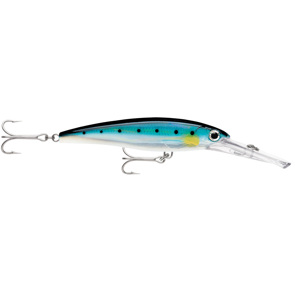 Rapala X-Rap® Magnum® 15 Blue Sardine